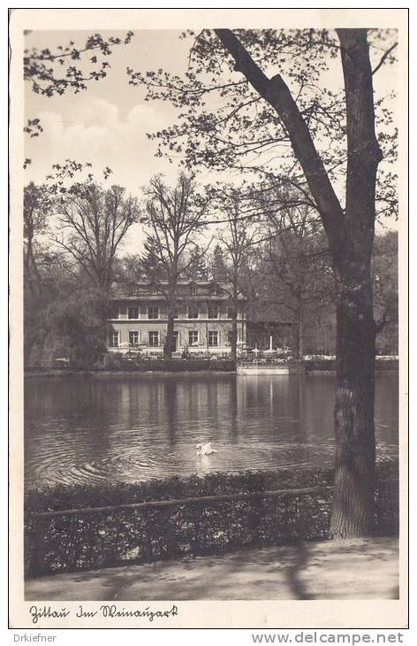 Zittau, Weinau Gaststätte Und Schwanenteich, Um 1938 - Zittau