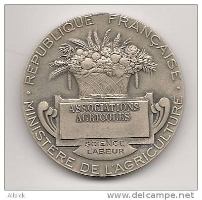 Médaille De Prix Du Ministère De L'agriculture Pour Les Associations Agricoles En Argent - Firma's