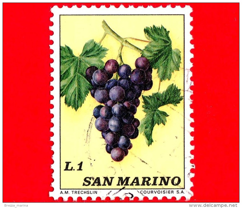 SAN MARINO - Usato 1973 - Frutta - Fruit - 1 L. • Uva - Grapes - Used Stamps