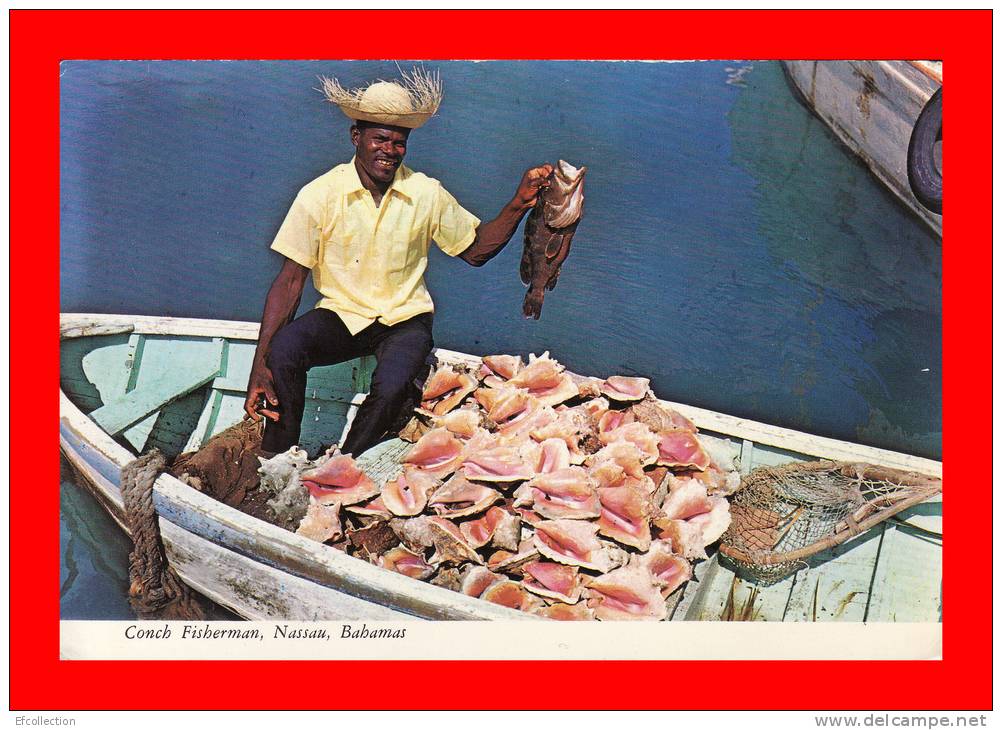 Nassau Bahamas Péche En Mer Des Caraibes Métier Un Pécheur En Bateau Avec Poissons Et Nombreuses Conques Coquilles - Bahamas