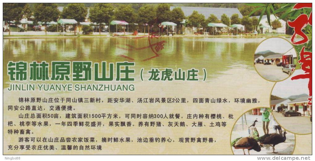 Fishing Angling Farm,peacock Bird,bamboo,China 2012 Yuanye Farm Travel Advertising Pre-stamped Card - Paons