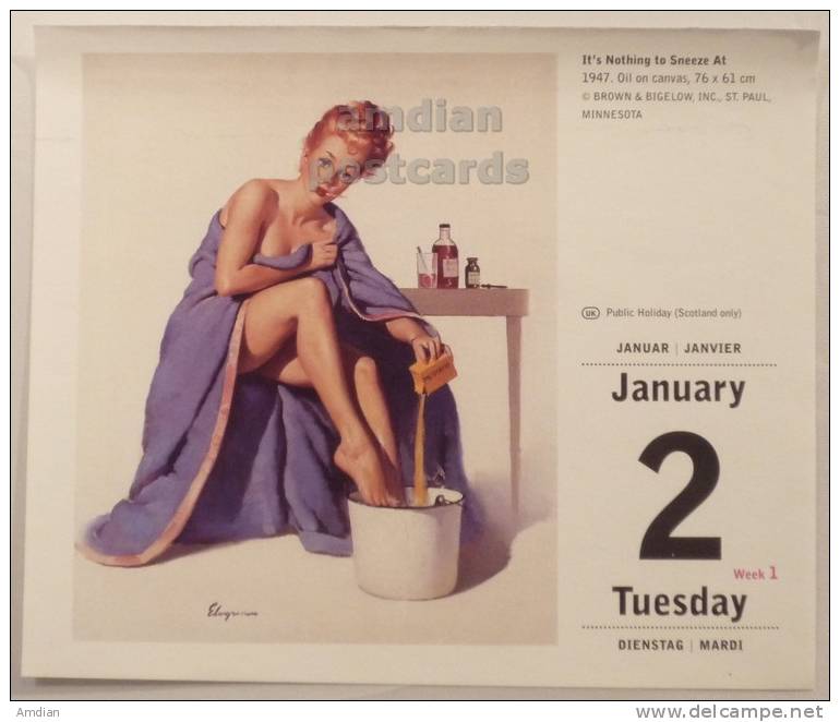 LOT 3 ELVGREN PINUP SEXY SEMI NUDE WOMEN ~ RISQUE ART~2007 TASCHEN CALENDAR #3 - Small : 2001-...