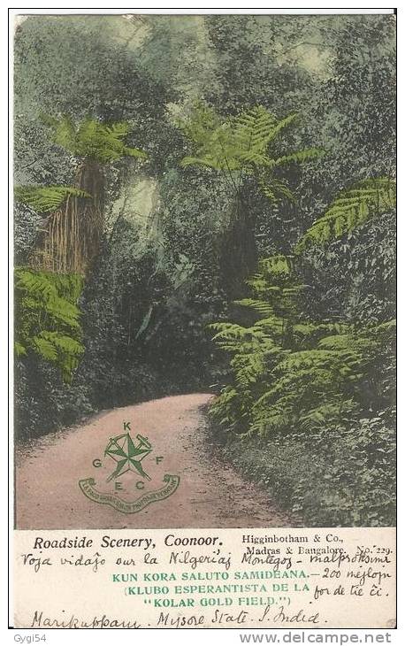 Roadside Scenery ,Coonoor  Post Card  CPA 1906 LES  INDES - India