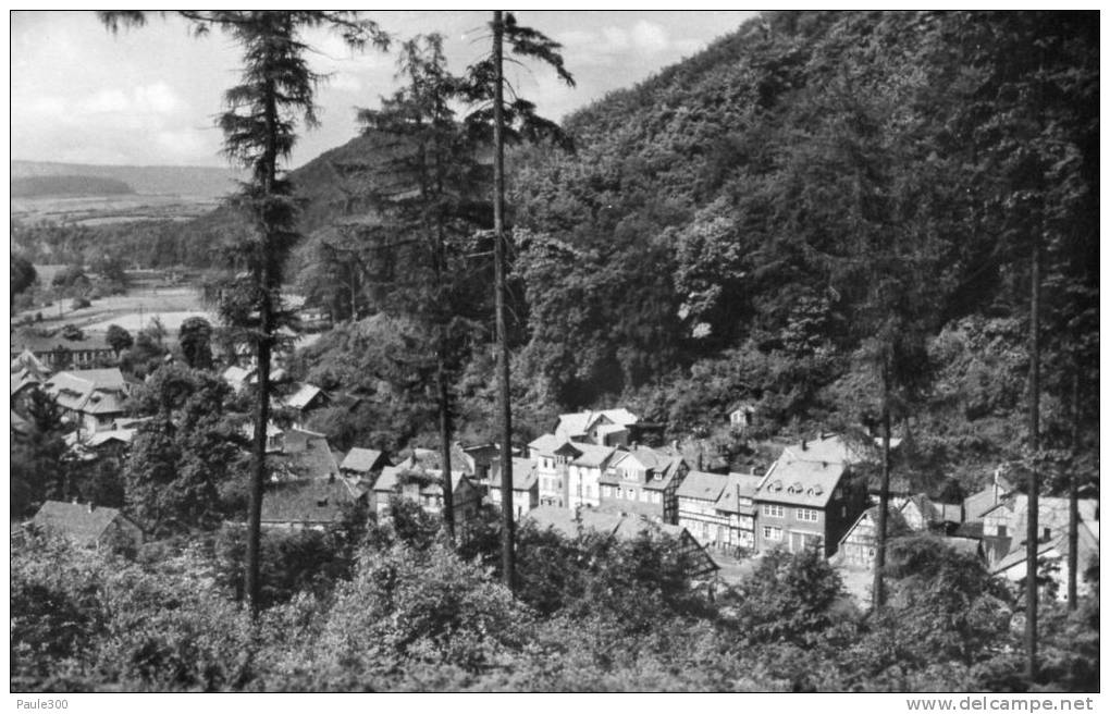 Thale - Blick Vom Schoßberg  L12 - Thale