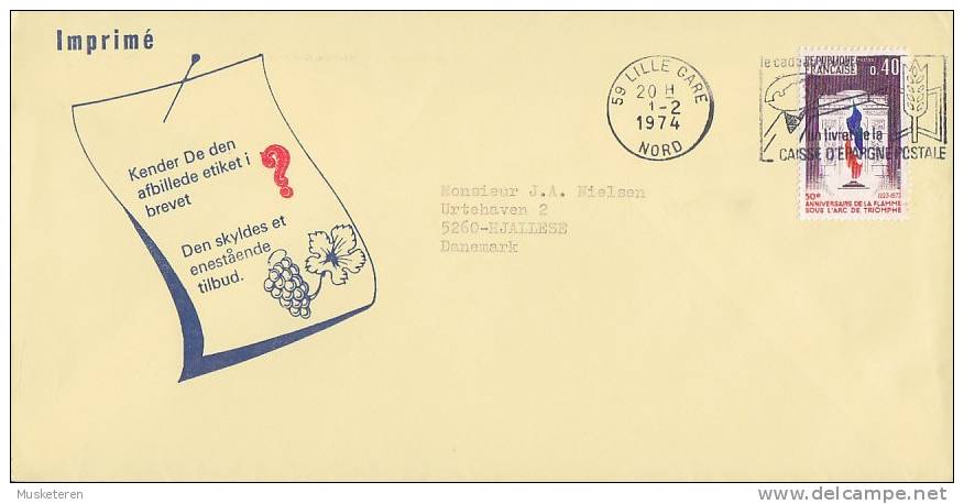 ## France IMPRIMÉ Grapes Cachet Deluxe Flamme Slogan LILLE GARE 1974 Cover Lettre To HJALLELSE Denmark - 1961-....