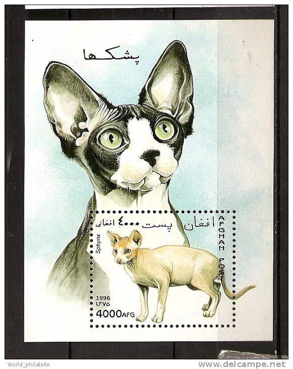 Afghanistan Afghanes 1996 N° BF 75 ** Faune, Animaux, Chats, Sphynx - Afghanistan