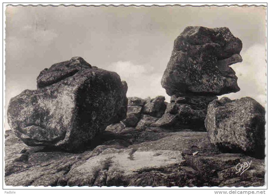 Carte Postale 29. Île De Sein  Les Rochers Trés Beau Plan - Ile De Sein