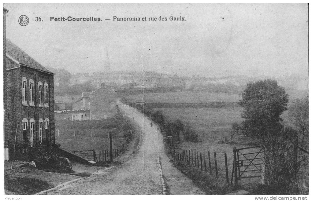 PETIT-COURCELLES - Panorama Et Rue Des Gaulx - Superbe Carte - Courcelles