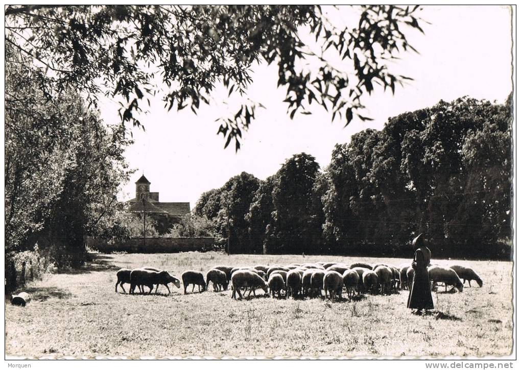 10682. Postal NUITS St. GEORGES (Côte D´Or). Abbaye N.D. De Citeaux - Nuits Saint Georges