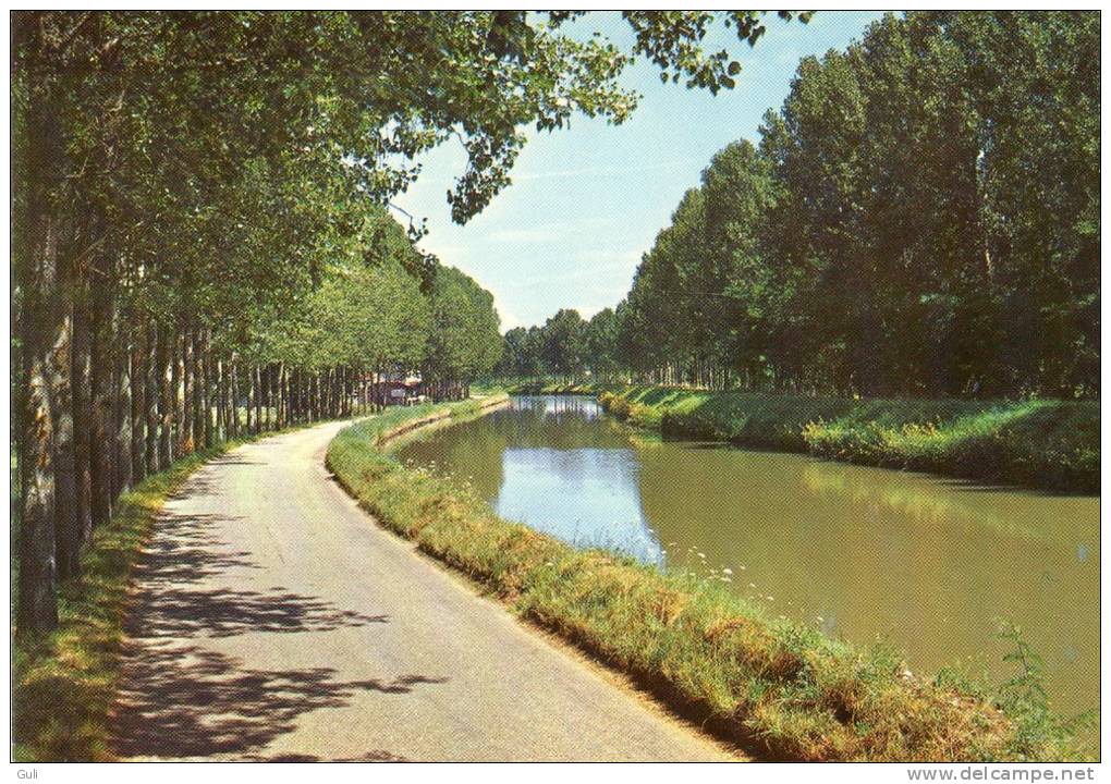 18 Cher - En SANCERROIS (Sancerre) Le Canal Latéral à La Loire (2)  * PRIX FIXE - Autres & Non Classés