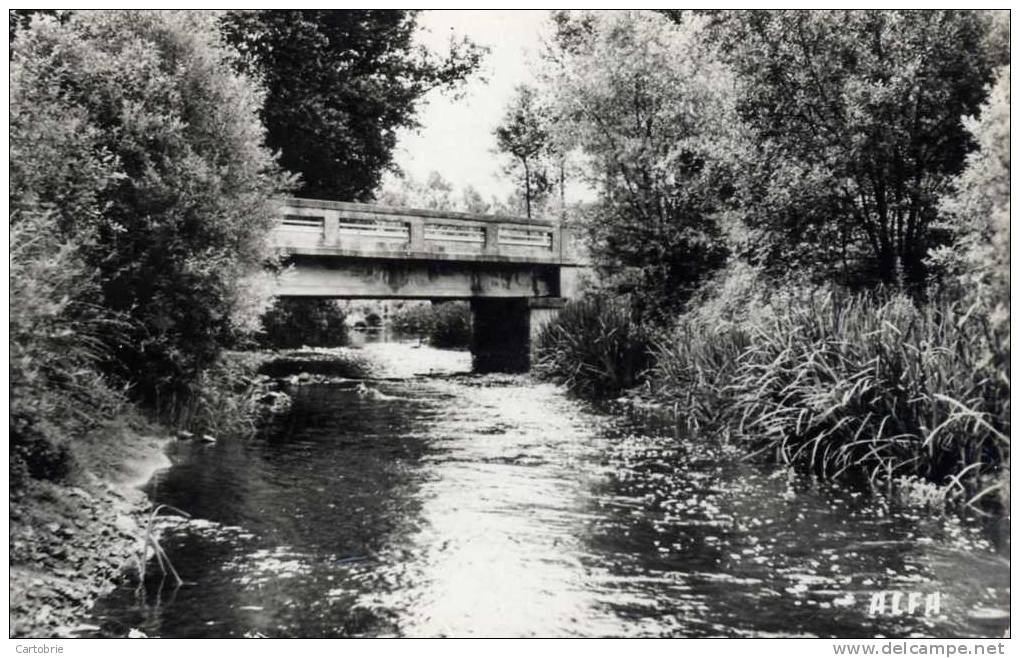 51 - JONCHERY-SUR-VESLE - Le Pont Sur La Vesle - CPSM - Jonchery-sur-Vesle