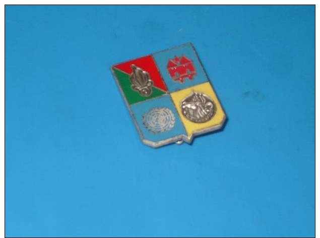 INSIGNE Militaire LEGION ETRANGERE   Hauteur 3.5 Cm - Autres & Non Classés