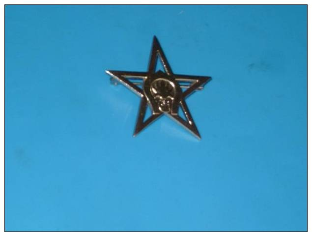 Insigne Militaire LEGION ETRANGERE Diametre 4cm - Autres & Non Classés