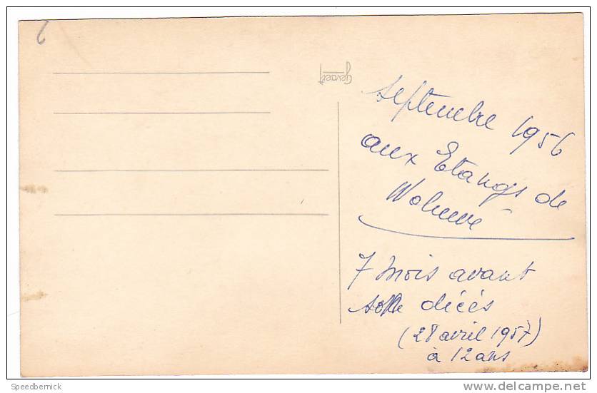 21070 Carte Photo Chien Belge  Sept 1956 - Chiens