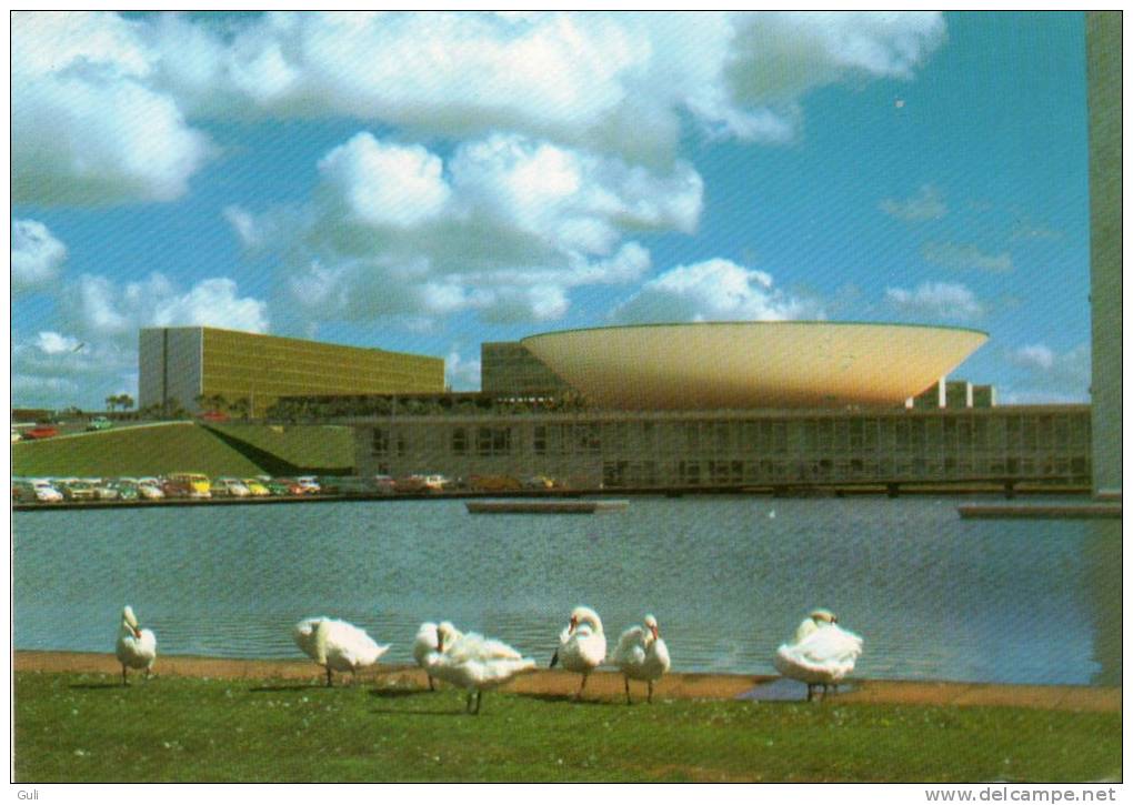 Brésil > Brasilia ( Brasil) Vista Parcial Do Congresso (Congress, Cisnes Brancos,Cygne Cygnes Blancs Swan  Snowy Swans ) - Brasilia