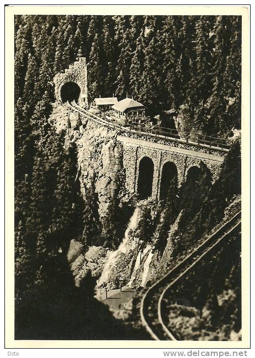 Carte-photo : Foto Leni Bauer, Much (Sieg) : Schwarzwälder Gebirgskrippe  Sankt Oswald Im Höllental... 1958/59 - Autres & Non Classés