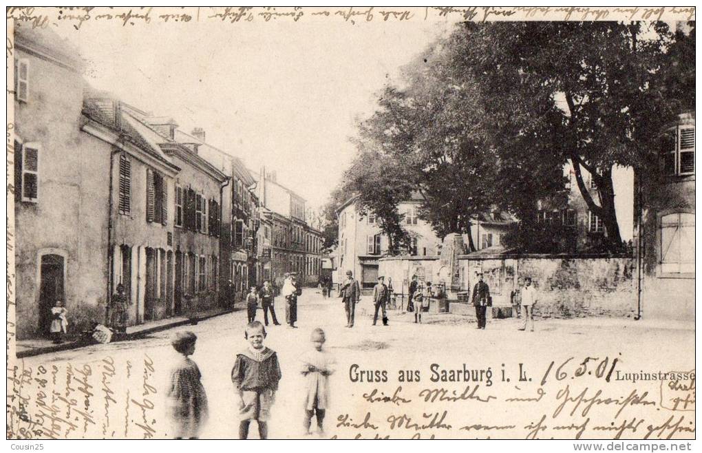 57 GRUSS AUS SAARBURG - Lupinstrasse - Sarrebourg