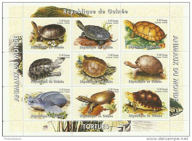 H.B  **   ANIMALES     TORTUGAS - Turtles