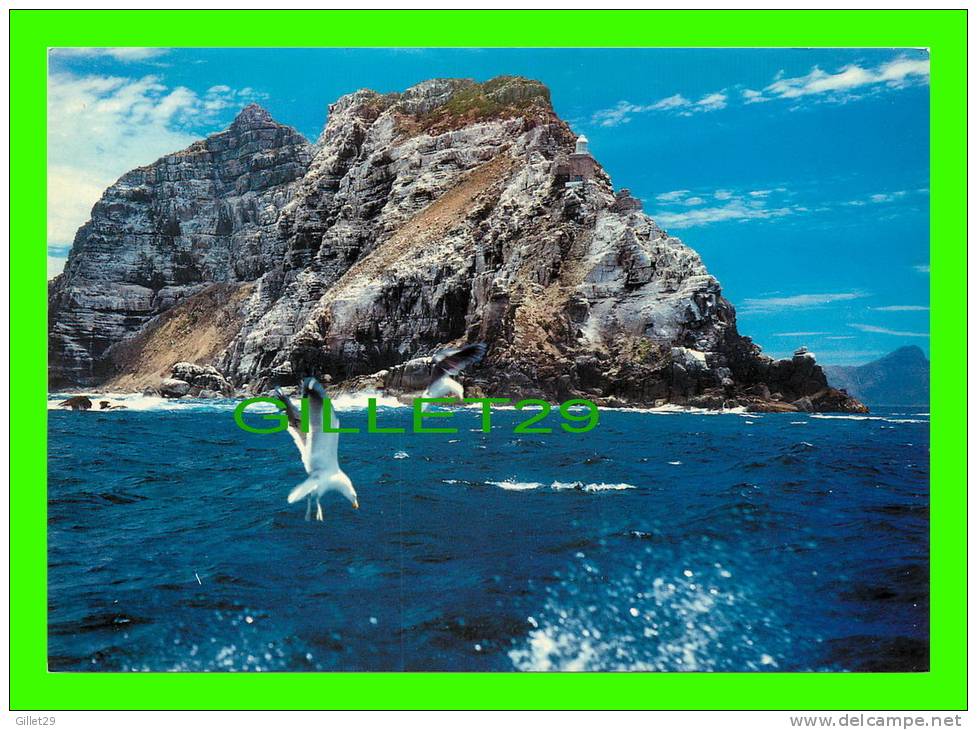 CAPE POINT, SOUTH AFRICA - LIGHTHOUSE - - GULLS WEAVE AND DIVE IN THE DEEP WATERS - ART PUB. LTD - - Afrique Du Sud