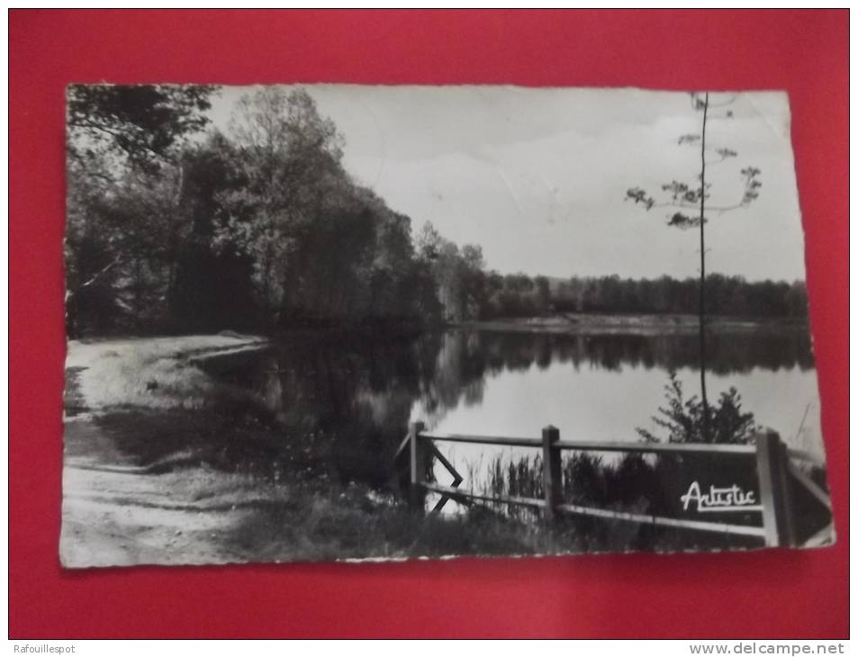 C P St Sauveur En Puisaye Etang Des Barres - Saint Sauveur En Puisaye