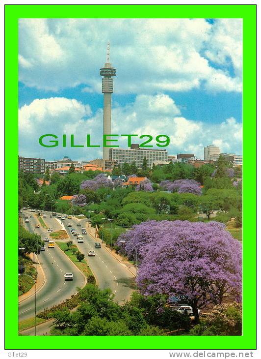 JOHANNESBURG, SOUTH AFRICA - FLOWERING JACARANDA - THE STERN GYMMETRY OF 269-m STRIJDOM TOWER -  ART PUB. LTD - - Afrique Du Sud
