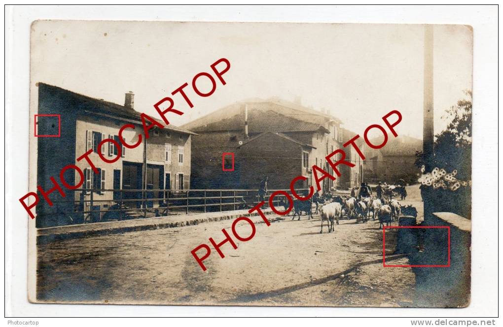 RECHICOURT LE CHATEAU-RIXINGEN-CHEVRES-CARTE PHOTO-Guerre-14-18-1WK-FRANCE-57-FRANKREICH-MILITAIRE-Militaria-Feldpost- - Rechicourt Le Chateau