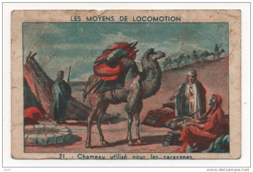 Les Moyens De Locomotion - N° 21. Chameau Utilisé Pour Les Caravanes. . - 9,5x6cm - - Tiere