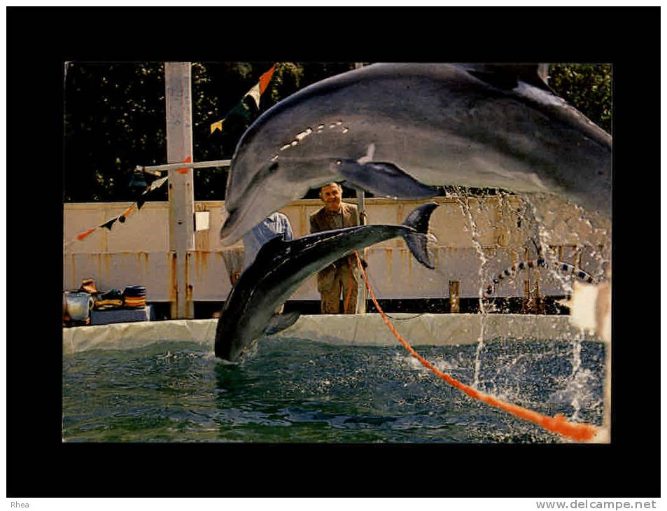 ANIMAUX - DAUPHINS - Les Célèbres Dauphins De Jean Richard Et Du Capitaine Richard Decker - 4 - Dauphins