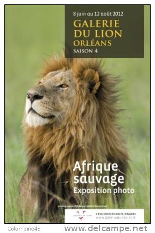 Carte Publicitaire Expo Lion Afrique Sauvage - Leoni