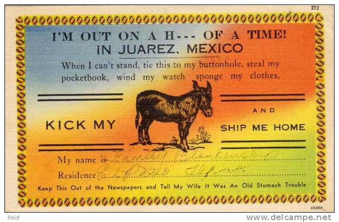 Ane -I'm Out On A H.... Of A Time In Juarez, Mexico - Kick My Ship Me Home  ( 48787) - Autres & Non Classés