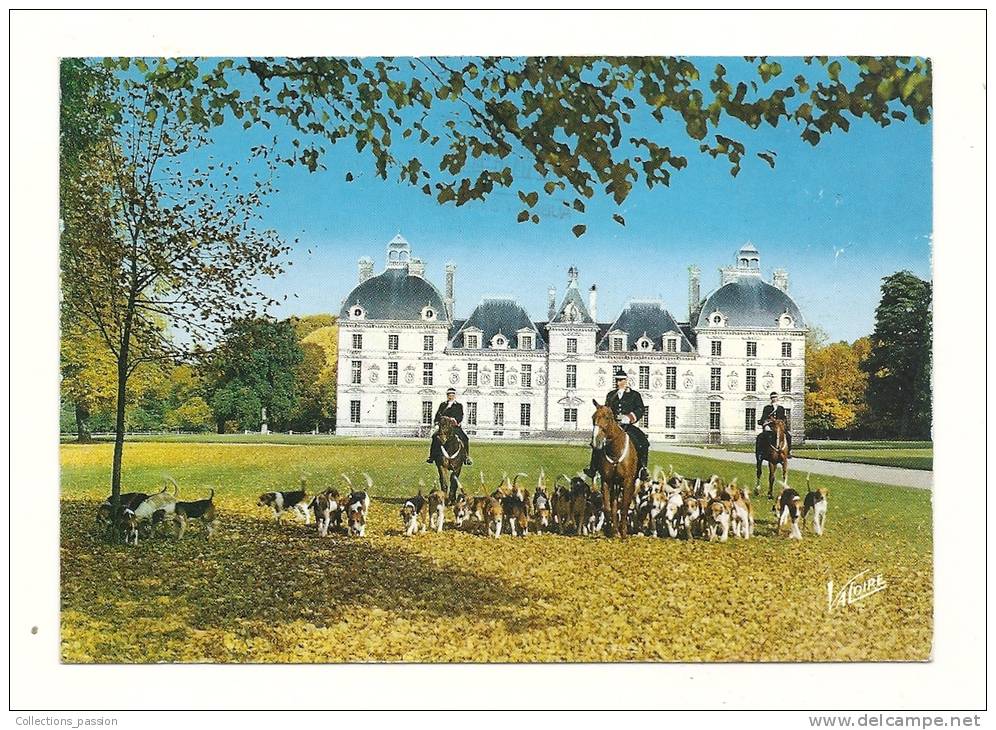 Cp, Sport, Chasse à Cour, Cheverny (41) - Les Piqueux Et La Meute De L´Equipage,v Oyagée 1989 - Caccia