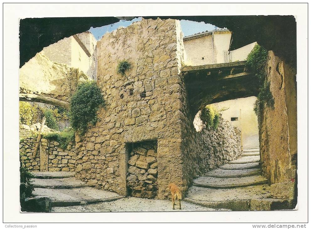 Cp, 83, Fayence, Vieille Rue, Voyagée 1970 - Fayence