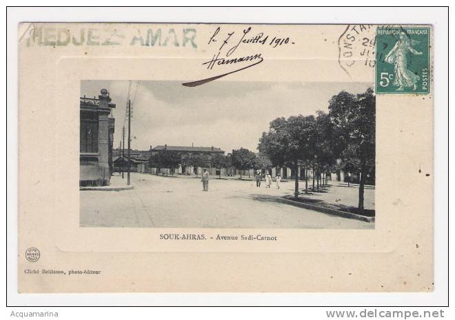 SOUK AHRAS - Avenue Sadi-Carnot - Cartolina FP V 1910 - Souk Ahras