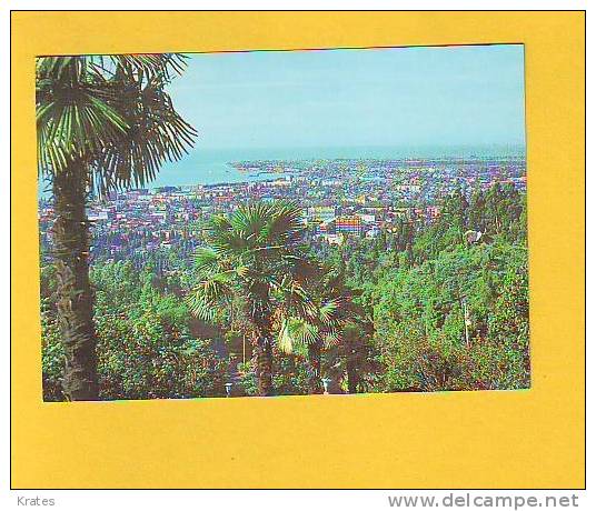 Postcard - Suhumi     (V 15280) - Georgien