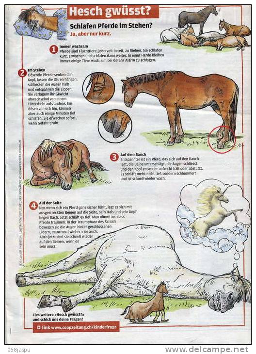Page Coop Theme Sommeil Cheval - Andere & Zonder Classificatie