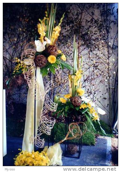 Photo,Floralies De Bourg En Bresse (01) , Composition Florale - Altri & Non Classificati