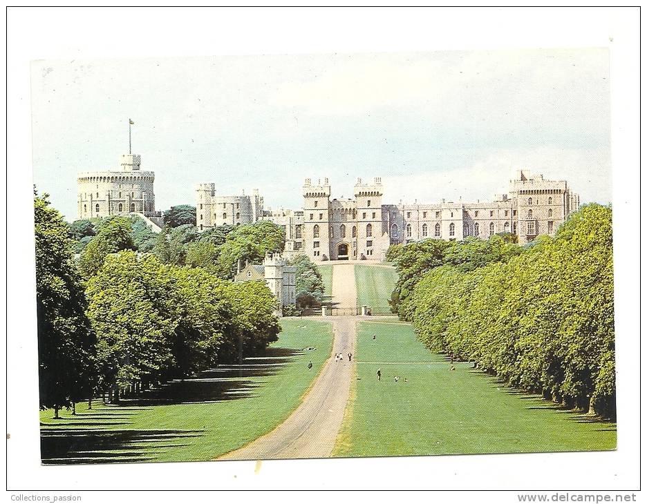 Cp, Angleterre, Winsor Castle, The Long Walk Showing Part Or The Tree-Lined..., écrite - Windsor Castle