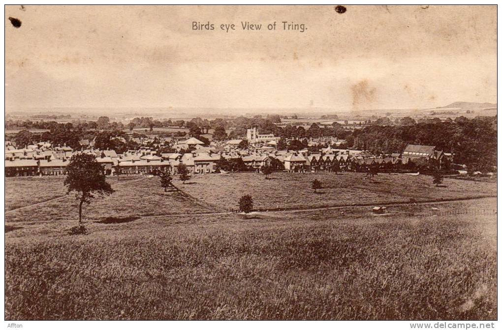 Tring 1905 Postcard - Hertfordshire