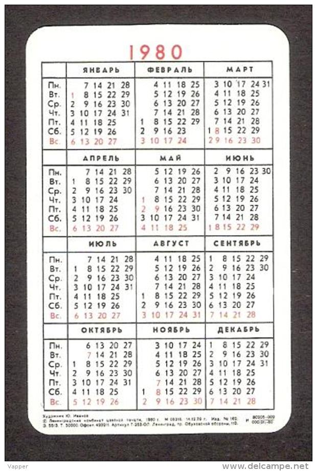 USSR (Russia)  5 Mini Calendars  Olympic 1980 Water Sports: Swimming, Sailing, Pulling - Klein Formaat: 1971-80