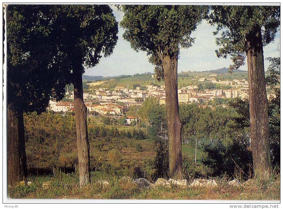 Italie--RIGNANO SULL' ARNO--Panorama  ,Vue Générale ........timbre  ....cachet - Altri & Non Classificati