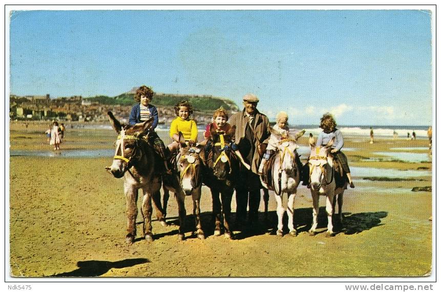 SCARBOROUGH : DONKEYS ON THE SAND / POSTAGE SLOGAN - FILEY / ADDRESS - NEATH, CIMLA, HOSPITAL COTTAGE - Scarborough