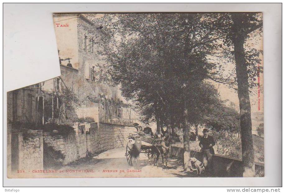 CPA DPT 81 CASTELNAU DE MONTMIRAIL En 1907 !! - Castelnau De Montmirail