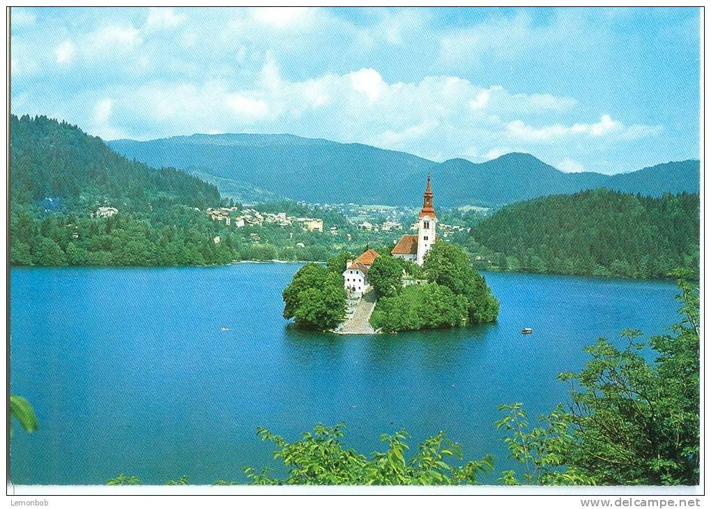 Slovenia, BLED, Unused Postcard [12063] - Slovenia