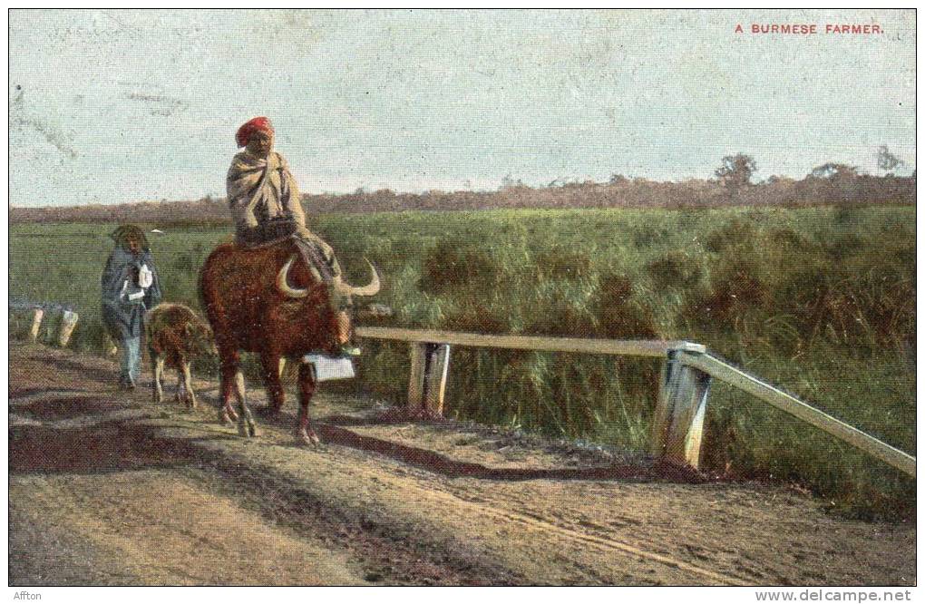 Burma Farmer 1905 Postcard - Myanmar (Burma)