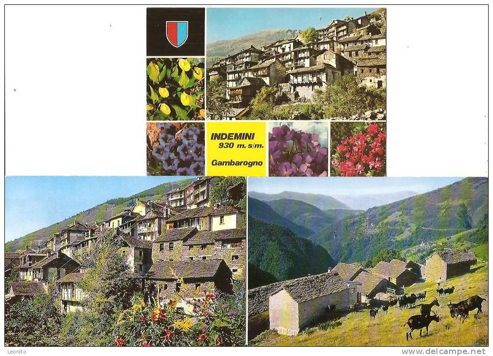 INDEMINI Gambarogno Ticino 3 Cartoline Postali - Gambarogno