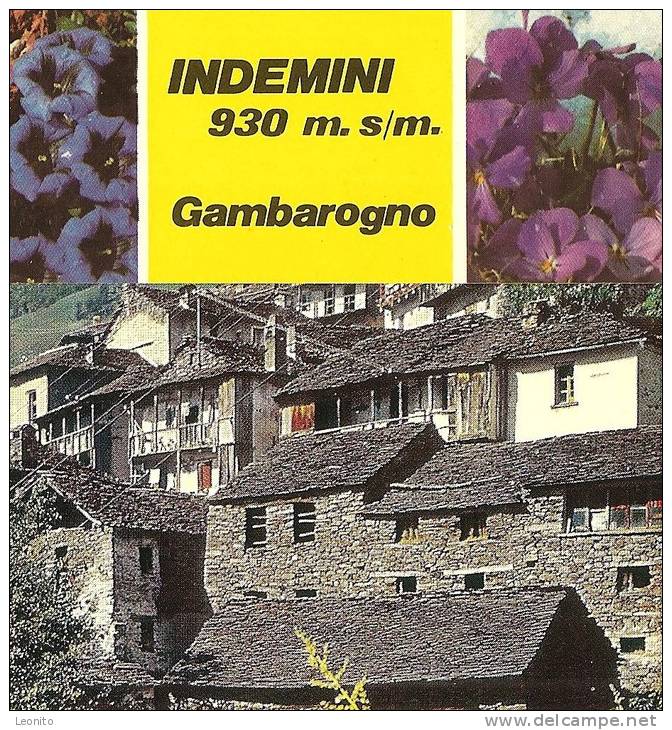 INDEMINI Gambarogno Ticino 3 Cartoline Postali - Gambarogno