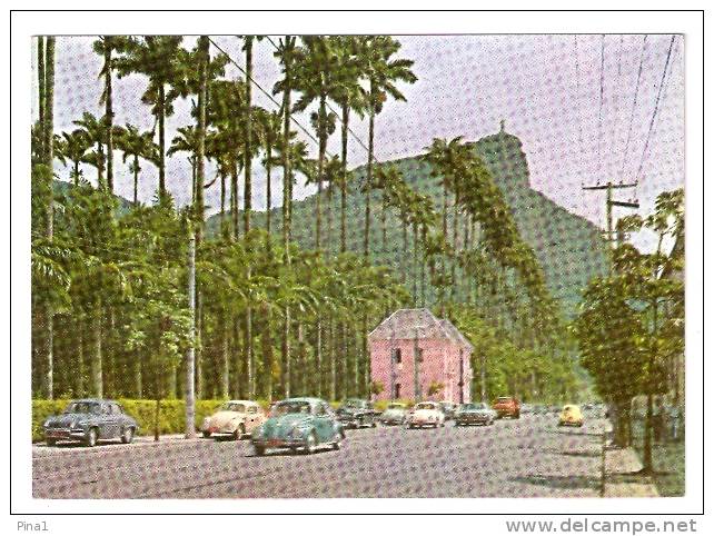 POSTCARD - RIO DE JANEIRO - AVENIDA JARDIM BOTANICO - G - Rio De Janeiro