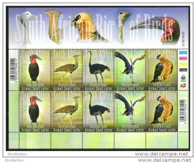 South Africa 2008 - One Sheetlet Bird Birds Animal Fauna Orstriches Orstrich Nature Stamps MNH SG 1664-1668 - Unused Stamps