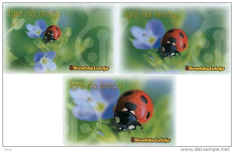 CROATIA - Ladybug - Set Of 3 Cards - 2000 - Mariquitas