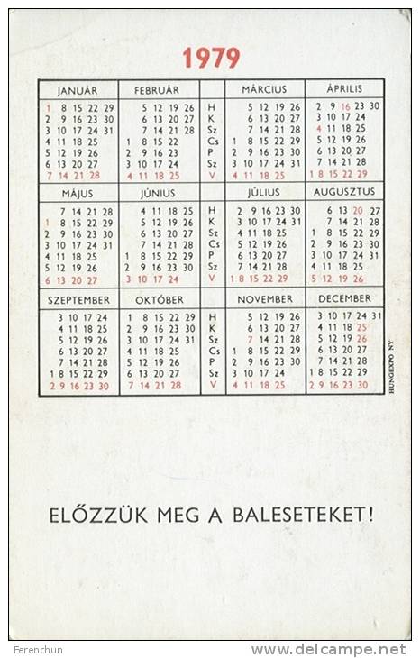 RAIL * RAILWAY * RAILROAD * TRAIN LOCOMOTIVE * HUNGARIAN STATE RAILWAYS * MAV * CALENDAR * Munkavedelem 1979 1 * Hungary - Small : 1971-80